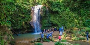 Corbett Waterfall Excursion: Safari with Jungle Expert