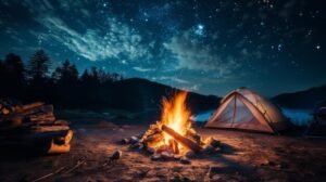 Campfire and Stargazing: Best Visit Jim Corbett National Park, India Monsoon Travel to Safari with Jungle Expert Ramnagar Nainital Uttarakhand